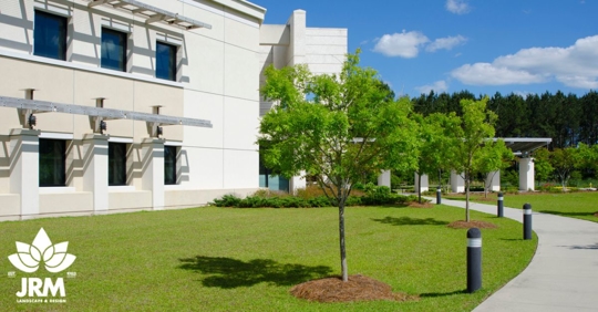 Commercial building landscaping