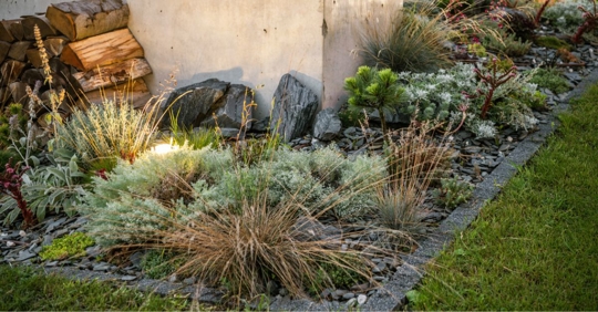 Illuminated Backyard Rockery Garden