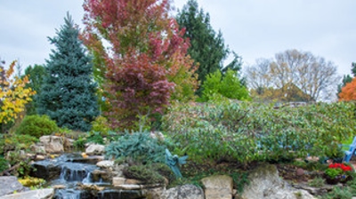 Seating Area with Tranquil Pond Photo