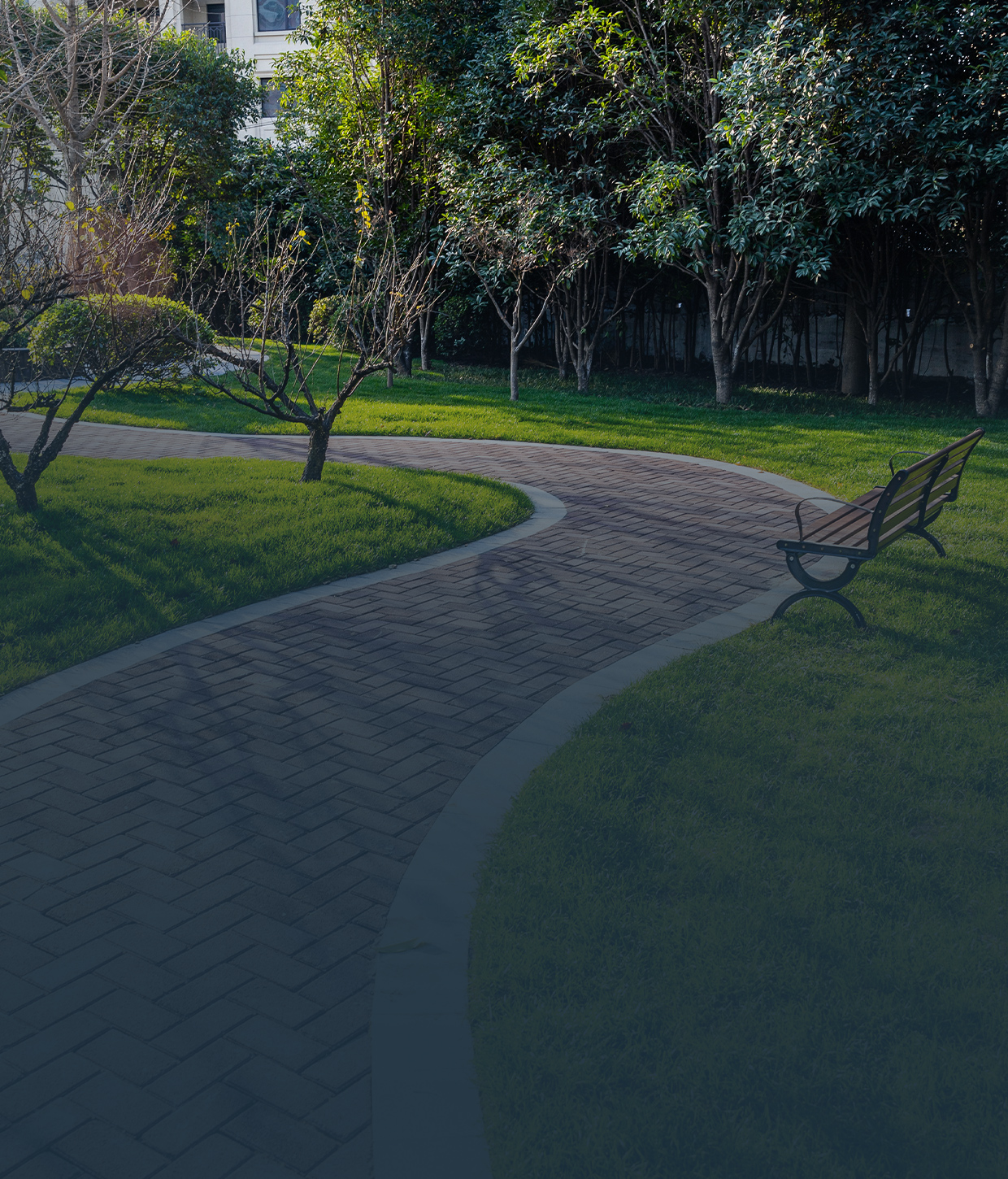 Commercial Landscape Maintenance